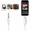 Lightning To 3.5 mm Aux Audio Adapter