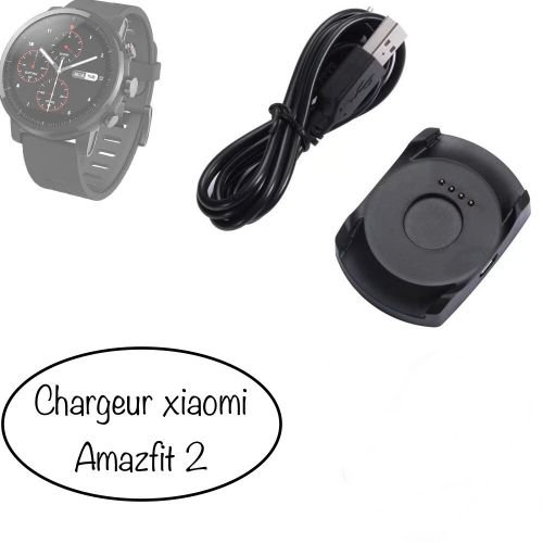 Chargeur magnétique USB pour Amazfit 2