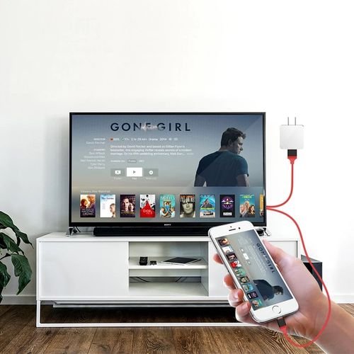 câble HDMI TV adaptateur pour iPad pour iPhone Plug & Play