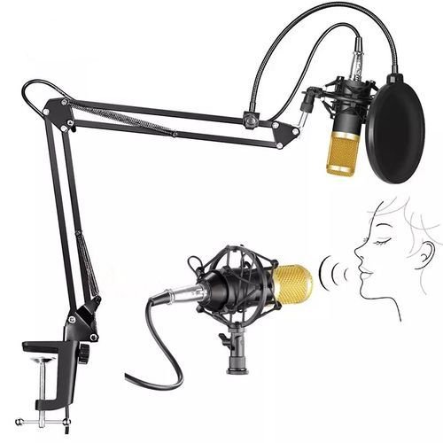 professionnel Studio Microphone