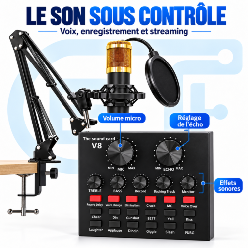 Ensemble complet de microphone   condensateur avec Carte Son