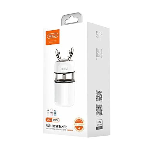 Recci Haut parleur RSK-W08 Bluetooth Haut Puissance