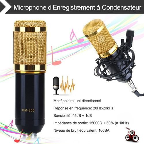 BM-800 micro à condensateur professionnel
