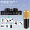 Ensemble complet de microphone   condensateur avec Carte Son