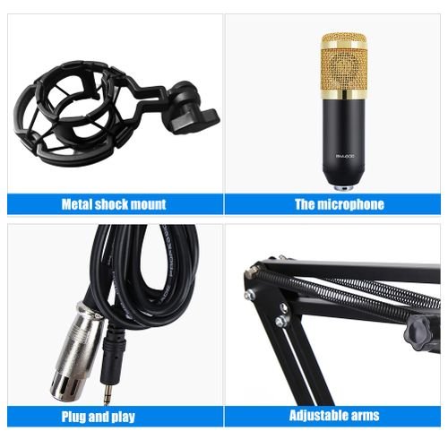 BM-800 micro à condensateur professionnel