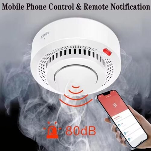 Détecteur de fumée WiFi intelligent alarme sonore 85db