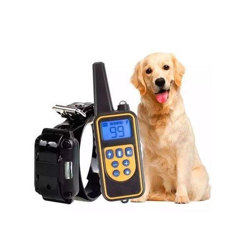 gvc.product.image_.1763472969078.414926a1-3e3a-42bd-8c7a-791f779f2d06.jpeg Collier de dressage électrique pour chien