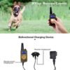 gvc.product.image_.1763472979977.0a3b6bd3-02e4-48e8-8fbb-da44548534e1.jpeg Collier de dressage électrique pour chien