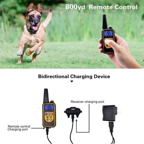 gvc.product.image_.1763472979977.0a3b6bd3-02e4-48e8-8fbb-da44548534e1.jpeg Collier de dressage électrique pour chien