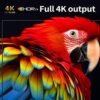 Android TV Stick 4K 2GB + 16GB