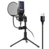 Ensemble complet de microphone condensateur avec Carte Son
