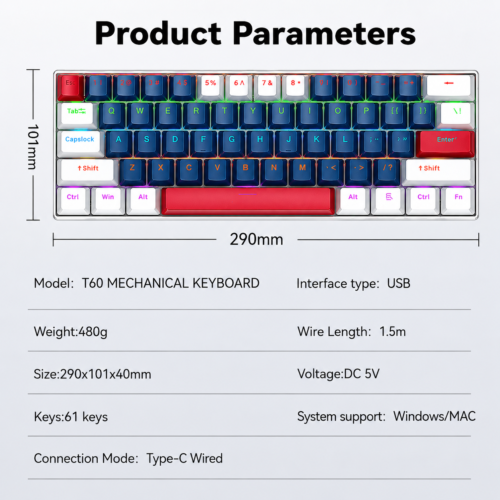 Clavier Mécanique Compact 60% Rétroéclairé LED USB-C - Blue Switch