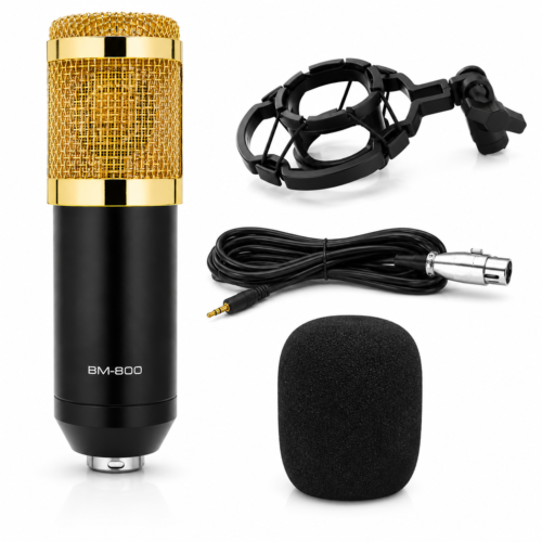 Microphone Condensateur Professionnel BM-800 avec Support Antichoc et Câble Audio