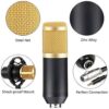 Microphone Condensateur Professionnel BM-800 avec Support Antichoc et Câble Audio