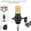 Microphone Condensateur Professionnel BM-800 avec Support Antichoc et Câble Audio