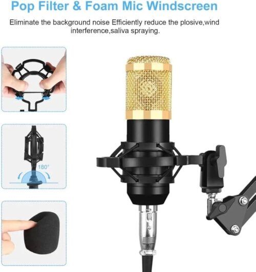Microphone Condensateur Professionnel BM-800 avec Support Antichoc et Câble Audio