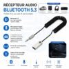 Récepteur Audio Bluetooth 5.3 AUX 3.5 mm Sans Fil pour Voiture, Haut-Parleurs et Casque – Modèle BT860