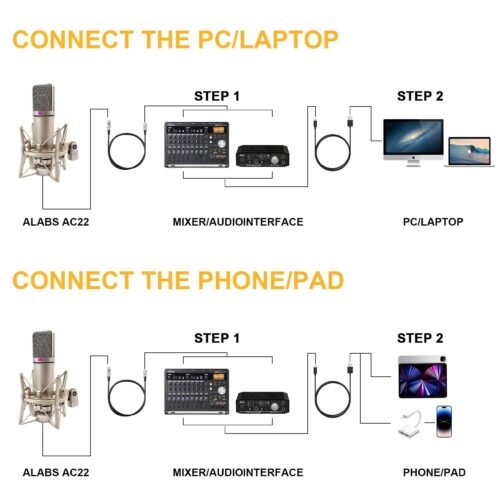 Microphone à Condensateur U87 AI XLR Professionnel 34 mm avec Support Antichoc – Qualité Studio 48V
