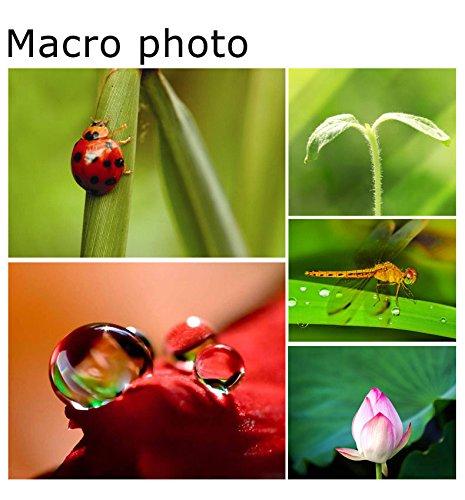 gvc.product.image_.1785676048009.926ece52-7c1a-4f76-b38b-dba57c2dff87.jpeg Kit Objectifs Smartphone 3 en 1 – Fisheye 180° + Grand Angle 0.67x + Macro avec Clip Universel
