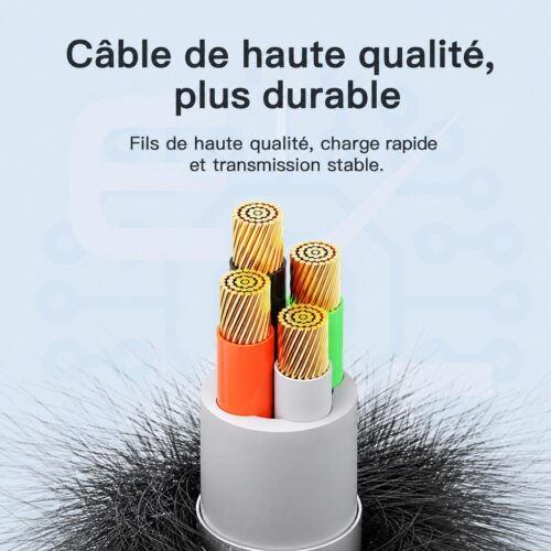 Câble USB A vers USB C 3A avec voyant RGB et transfert 480 Mbps