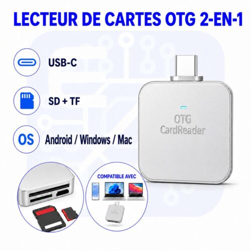 Lecteur de cartes SD et TF/microSD OTG 2 en 1 USB Type C