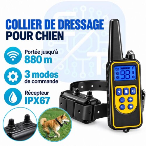 Collier de dressage pour chien avec télécommande, portée 880 m, 3 modes, récepteur IPX67