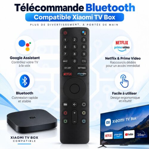 Télécommande remplacement Bluetooth compatible Xiaomi TV Box avec Google Assistant