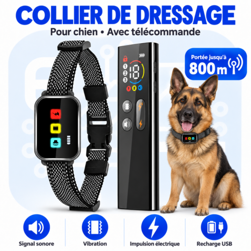 Collier de Dressage pour Chien avec Télécommande – Rechargeable USB – 3 Modes – Portée 800 m
